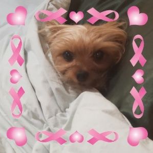 Meet your Posher, Linda